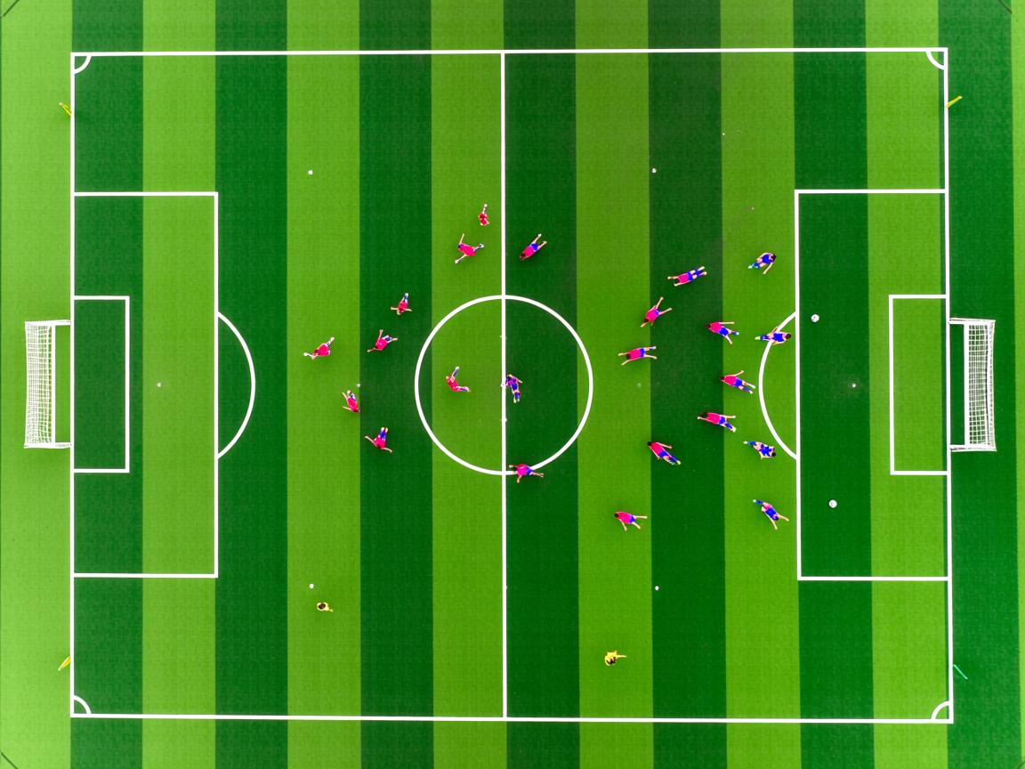 爱游戏体育-奥地利队势不可挡，小组出线意味着什么