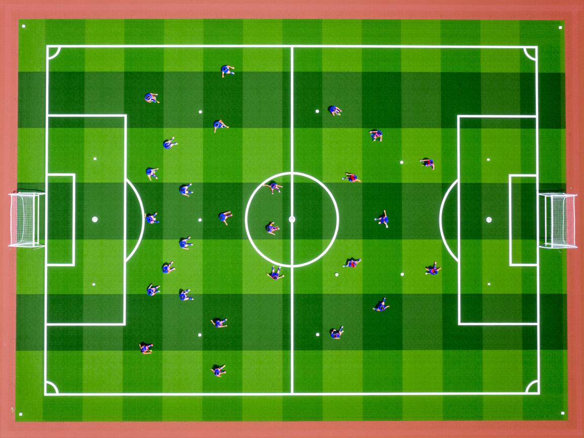 爱游戏app-中美蝶泳转身前滑行长度对比图出炉，蝶泳划臂路线