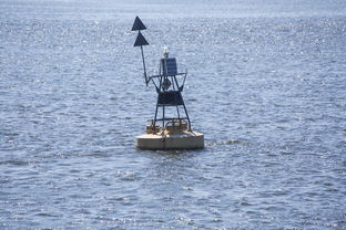 爱游戏下载-中方蝶泳入水角度更锐利？图解数据分析，中国蝶泳厉害吗